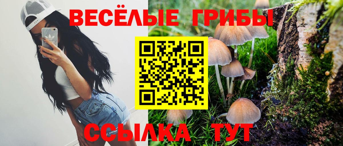 Псилоцибиновые грибы прущие грибы  Вход с VPN  Первоуральск 